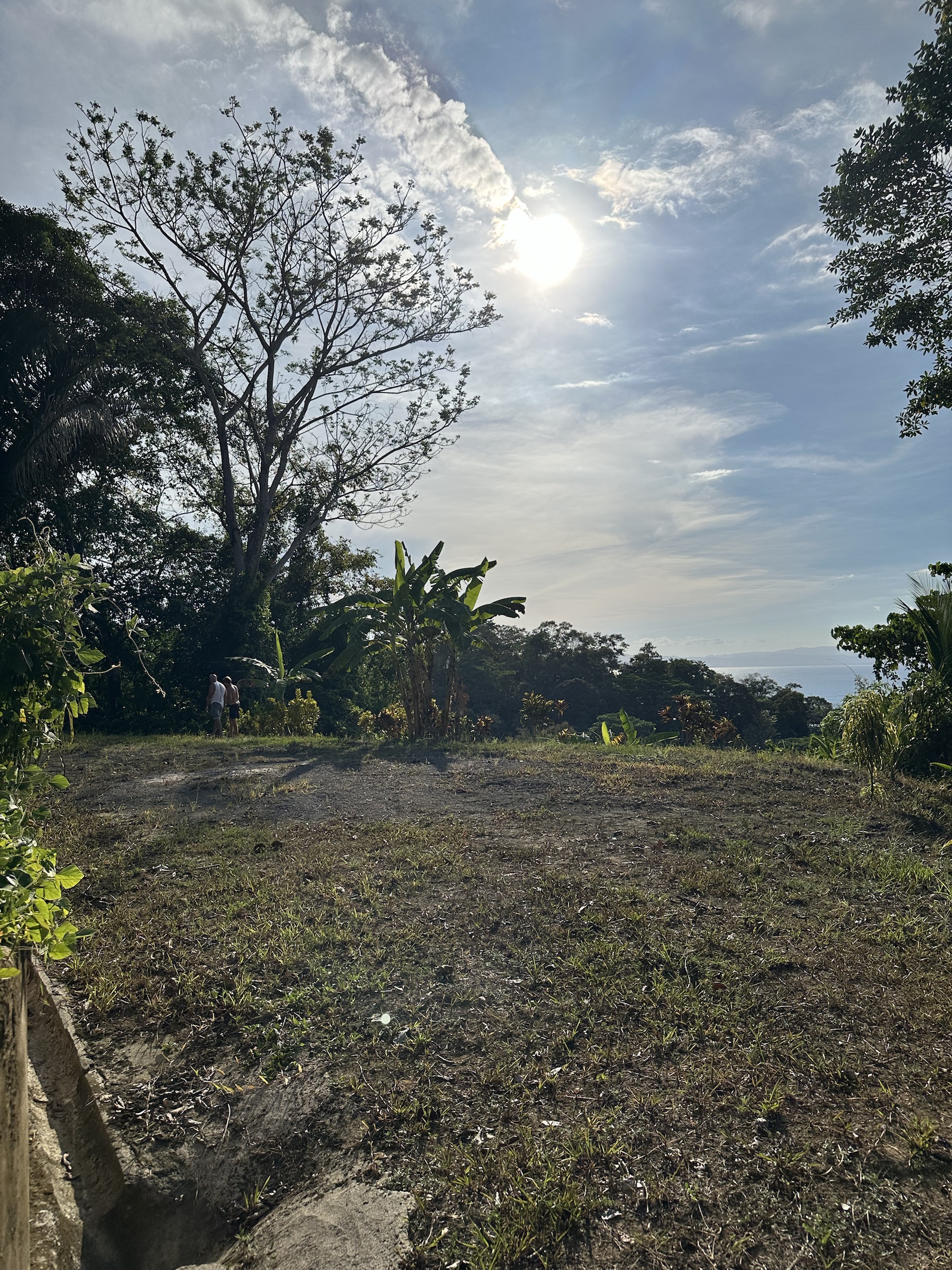 Jungle ridge land above the Pacific in Golfito