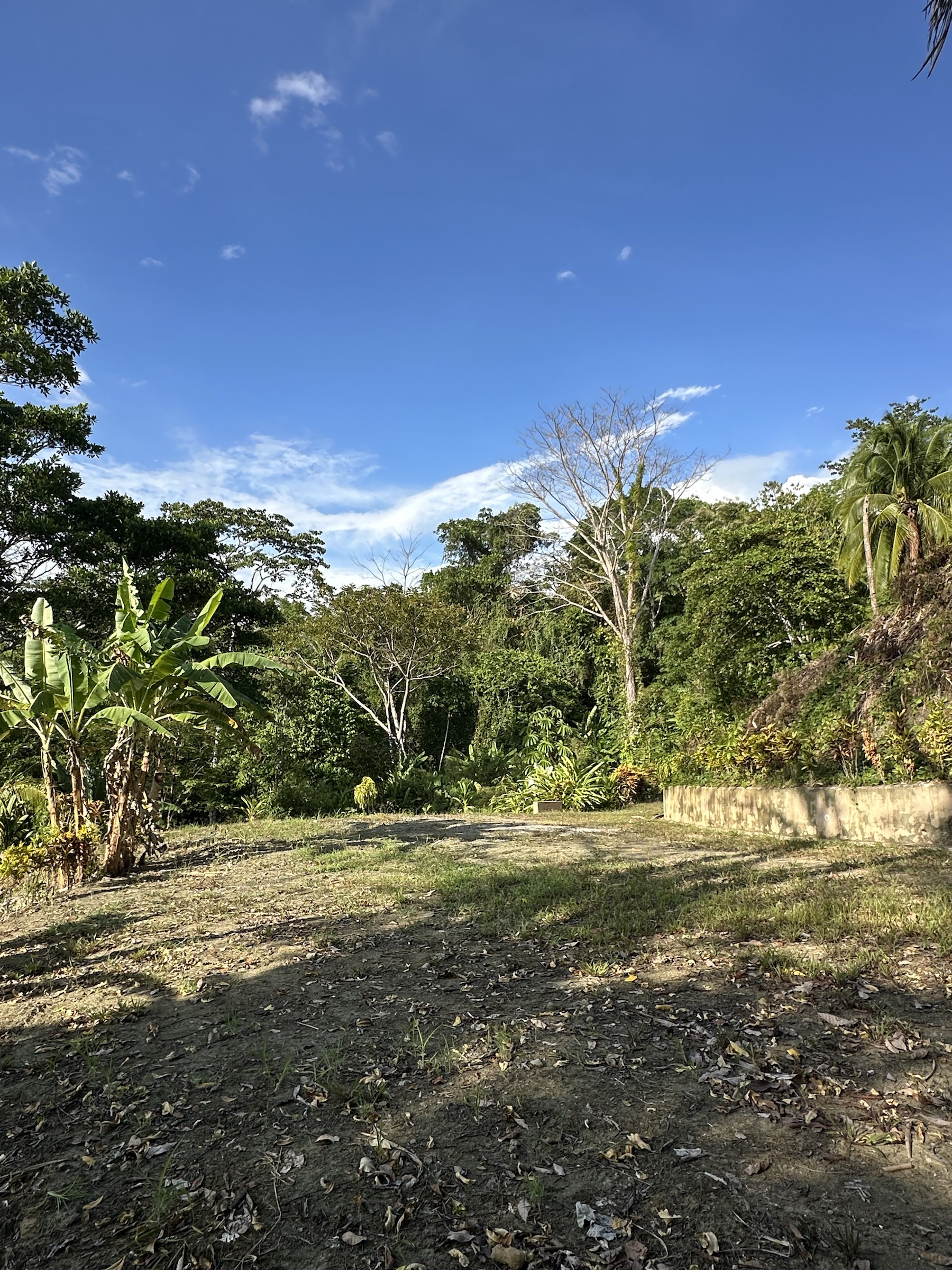 Terraced homesite inside protected rainforest, Pavones