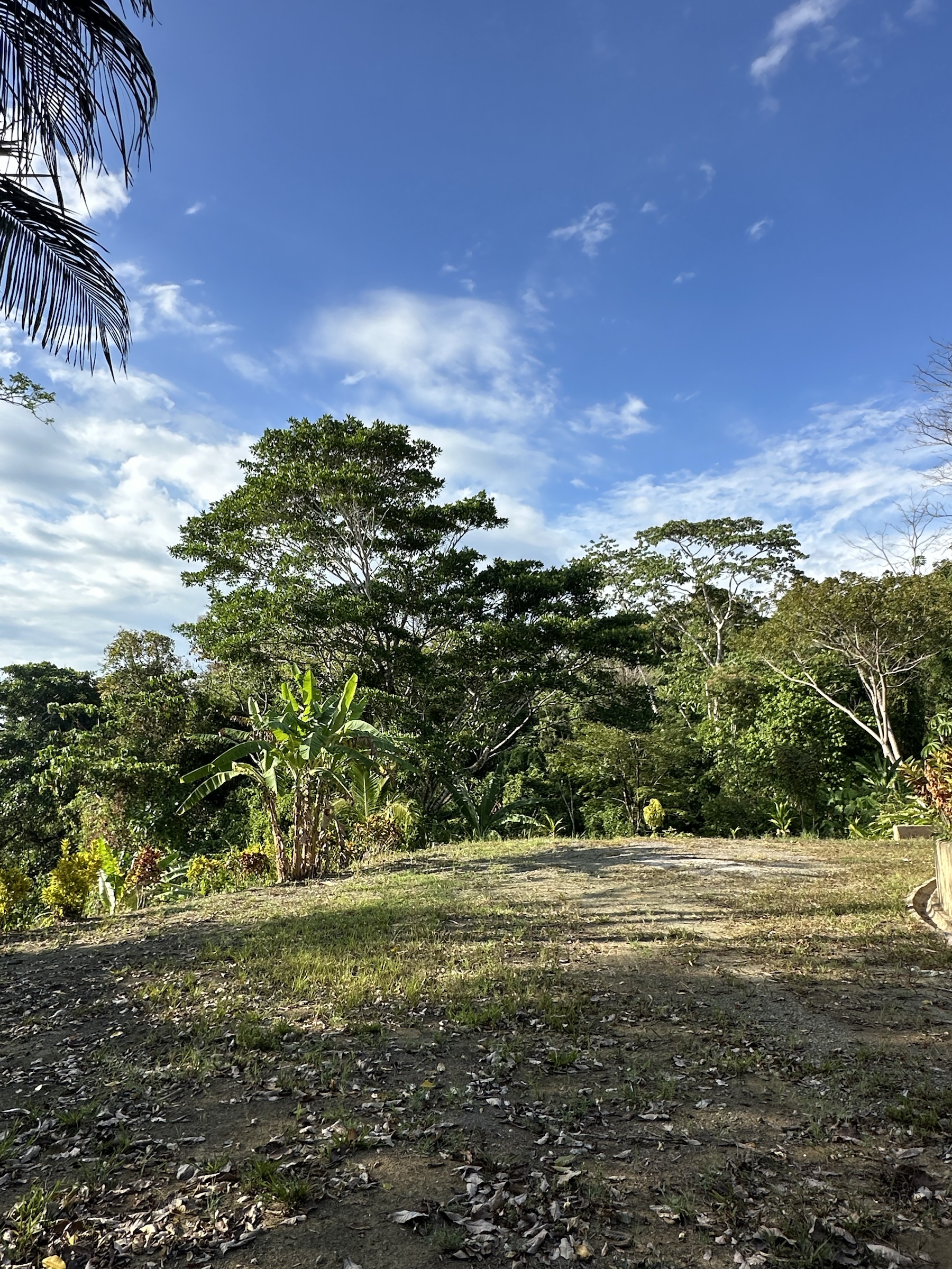 Jungle terrace ideal for a wellness retreat center in Costa Rica