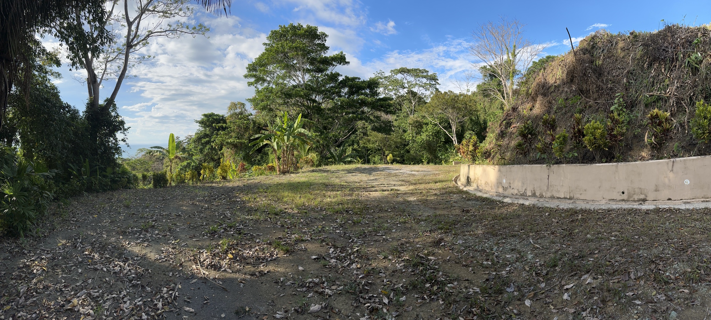 Build-ready terrace in Pavones with a concrete retaining wall, jungle and ocean beyond