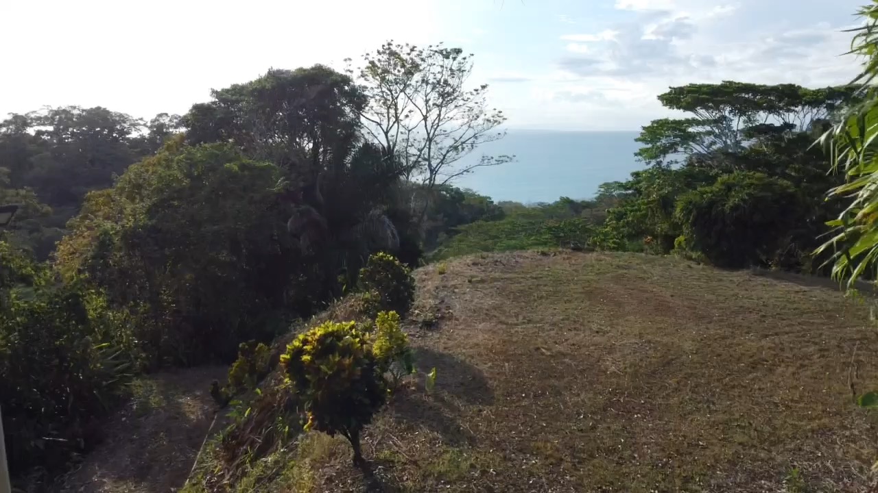 Aerial of the property and surrounding rainforest