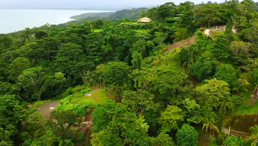 Aerial drone panorama of the jungle ridge and the Golfo Dulce