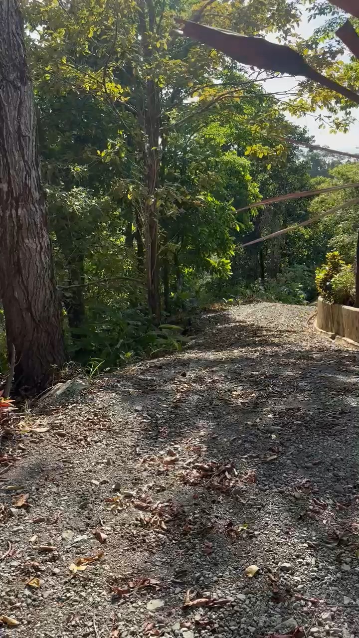 The internal gravel entrance road to the terraces