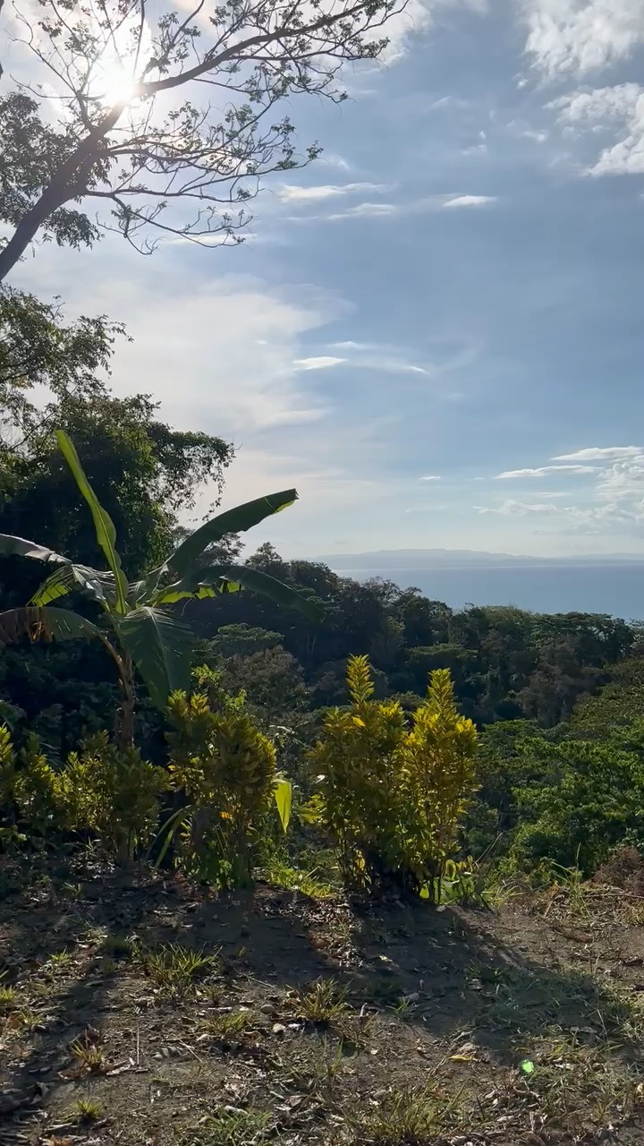 View from the top terrace toward the gulf